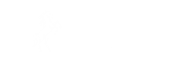 STALLION TO BE